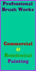 www.professionalbrushworks.com 